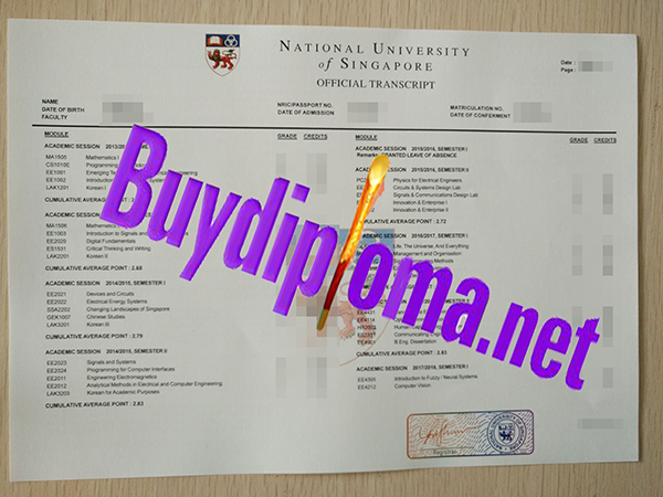 national university of signapore transcript