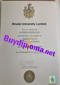 Brunel University London degree