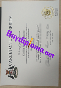Carlelton University degree