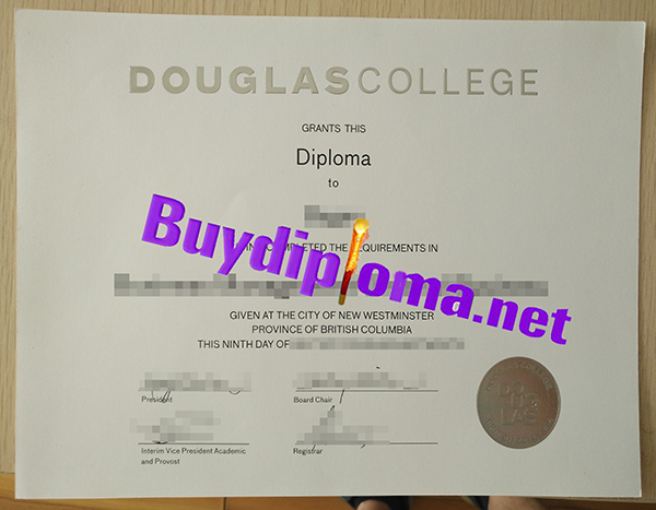 Douglas College degree