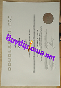 Douglas College degree