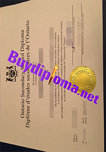 Ontario Secondary School diploma