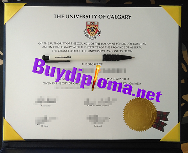 University of Calgary degree