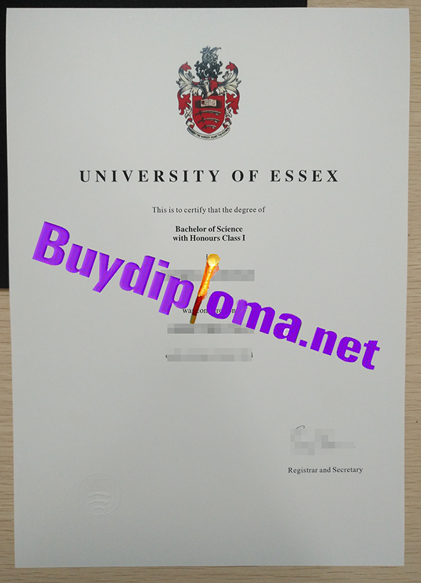 University of Essex degree