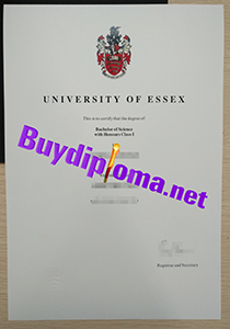 University of Essex degree