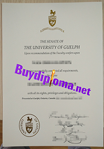 University of Guelph degree