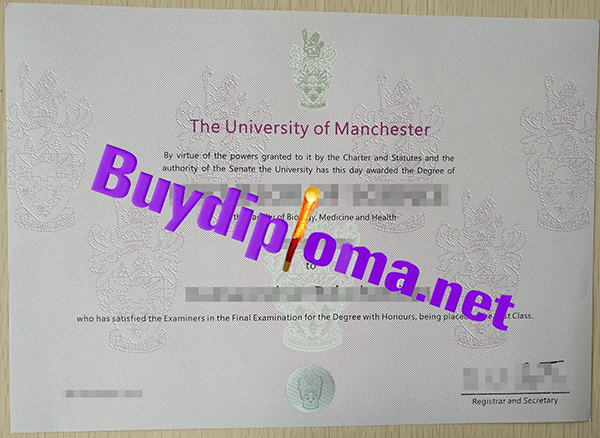 University of Manchester degree