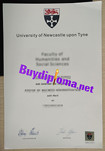 University of Newcastle Upon Tyne degree