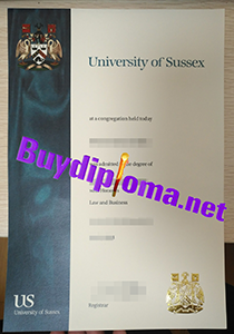 University of Sussex degree