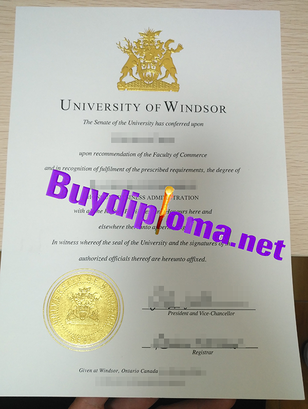 University of Windsor degree