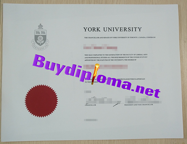 York University degree