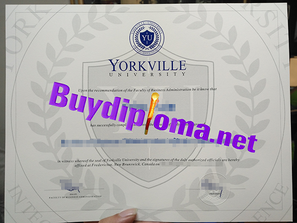 York Ville College degree
