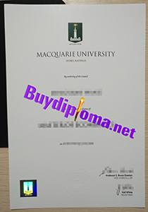 Macquarie University degree