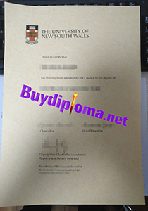 University of New South Wales degree