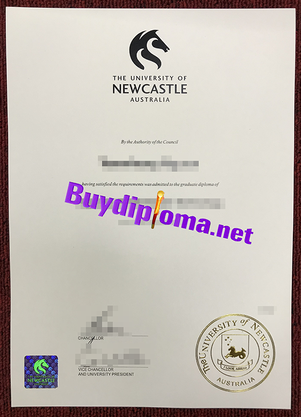 University of Newcastle degree