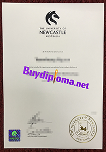 University of Newcastle degree